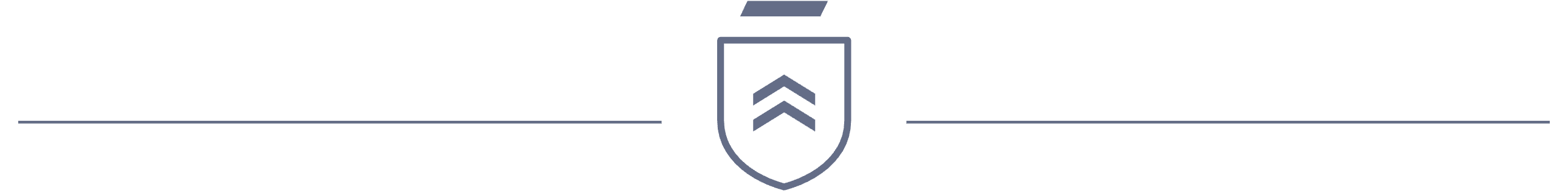 Watermark